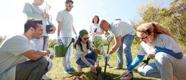 group of young people planting a tree